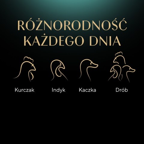 SHEBA Nature's Collection drobiowe smaki w galarecie- Drób - Adult- Mokra karma dla kota- 40x85 SHEBA Nature's Collection drobiowe smaki w galarecie- Drób - Adult- Mokra karma dla kota- 40x85