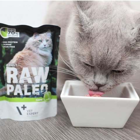 VetExpert Raw Paleo adult cat - Dzik saszetka 100g VetExpert Raw Paleo adult cat - Dzik saszetka 100g