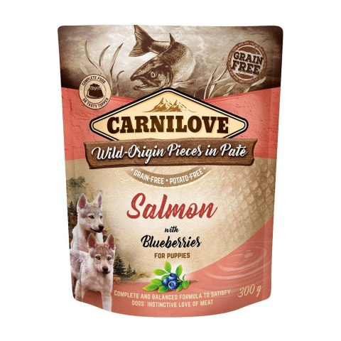 CARNILOVE DOG POUCH SALMON&BLUEBERRIES PUPPIES 300G CARNILOVE DOG POUCH SALMON&BLUEBERRIES PUPPIES 300G