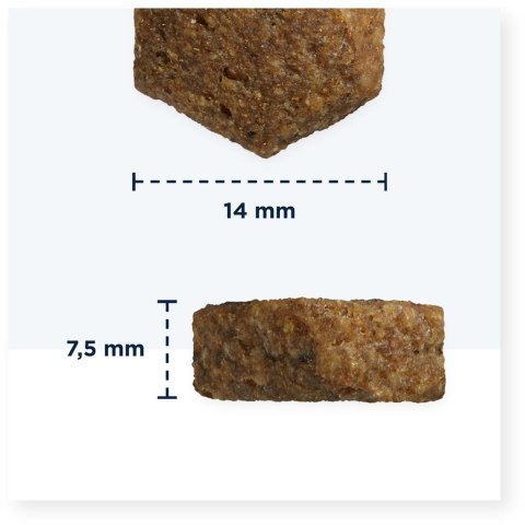 EUKANUBA Veterinary Diets Dermatosis FP Fish & Potato - sucha karma dla psa - 5 kg EUKANUBA Veterinary Diets Dermatosis FP Fish & Potato - sucha karma dla psa - 5 kg
