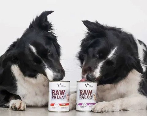 VetExpert Raw Paleo Wołowina Adult Can 800g VetExpert Raw Paleo Wołowina Adult Can 800g
