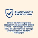 PURINA DOG CHOW Adult Jagnięcina - sucha karma dla psa - 14 kg