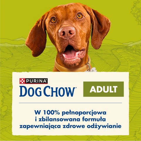 PURINA DOG CHOW Adult Jagnięcina - sucha karma dla psa - 14 kg PURINA DOG CHOW Adult Jagnięcina - sucha karma dla psa - 14 kg