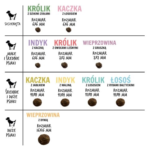 Paka Zwierzaka Seventh Heaven Kaczka z jabłkiem M 1,5kg Paka Zwierzaka Seventh Heaven Kaczka z jabłkiem M 1,5kg