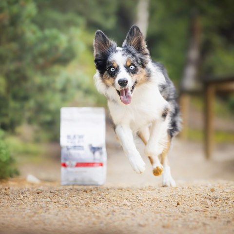 VetExpert Raw Paleo Ultra Wołowina Medium&Large Puppy 10kg VetExpert Raw Paleo Ultra Wołowina Medium&Large Puppy 10kg