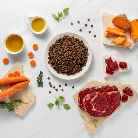 VetExpert Raw Paleo Ultra Wołowina Mini Adult 750g VetExpert Raw Paleo Ultra Wołowina Mini Adult 750g