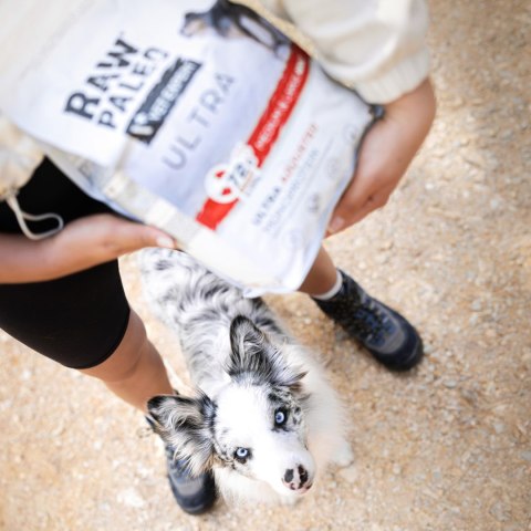VetExpert Raw Paleo Ultra Wołowina Mini Adult 750g VetExpert Raw Paleo Ultra Wołowina Mini Adult 750g