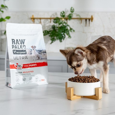 VetExpert Raw Paleo Ultra Wołowina Mini Puppy 2kg (WYPRZEDAŻ) VetExpert Raw Paleo Ultra Wołowina Mini Puppy 2kg (WYPRZEDAŻ)