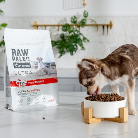 VetExpert Raw Paleo Ultra Wołowina Mini Puppy 2kg (WYPRZEDAŻ) VetExpert Raw Paleo Ultra Wołowina Mini Puppy 2kg (WYPRZEDAŻ)