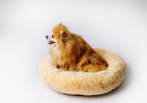 GO GIFT Shaggy kremowy XL - legowisko dla zwierząt - 80 x 83 x 10 cm GO GIFT Shaggy kremowy XL - legowisko dla zwierząt - 80 x 83 x 10 cm