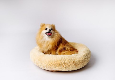 GO GIFT Shaggy kremowy XL - legowisko dla zwierząt - 80 x 83 x 10 cm GO GIFT Shaggy kremowy XL - legowisko dla zwierząt - 80 x 83 x 10 cm