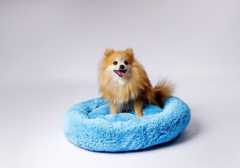 GO GIFT Shaggy niebieski M - legowisko dla zwierząt - 57 x 57 x 10 cm GO GIFT Shaggy niebieski M - legowisko dla zwierząt - 57 x 57 x 10 cm