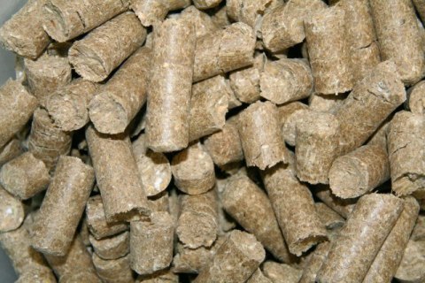 KERBL Smakołyki dla konia Delizia Classic, lukrecja, 1 kg KERBL Smakołyki dla konia Delizia Classic, lukrecja, 1 kg