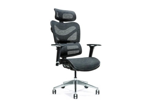 Ergonomiczny fotel biurowy ERGO 600 czarny Ergonomiczny fotel biurowy ERGO 600 czarny