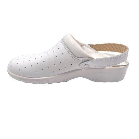 Buty Clog Racy marki Scholl BIAŁY 37 Buty Clog Racy marki Scholl BIAŁY 37