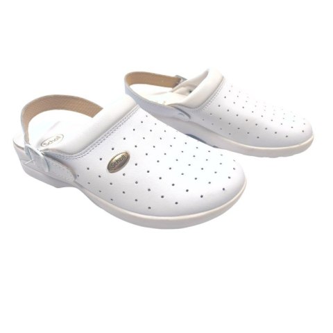 Buty Clog Racy marki Scholl BIAŁY 37 Buty Clog Racy marki Scholl BIAŁY 37