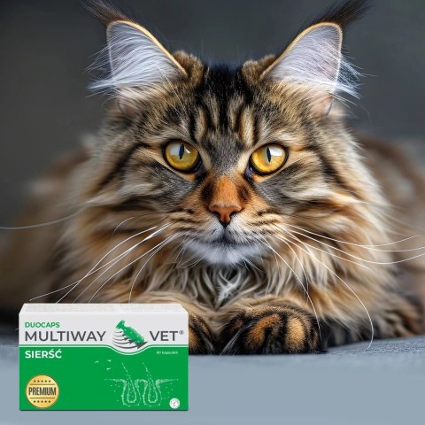 JM SANTE MULTIWAY DUOCAPS SIERŚĆ 60 kaps JM SANTE MULTIWAY DUOCAPS SIERŚĆ 60 kaps