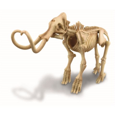 Zestaw naukowy wykopaliska - mamut Zestaw naukowy wykopaliska - mamut