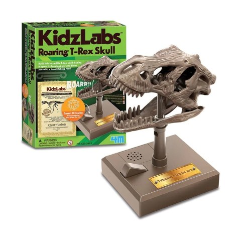 Zestaw edukacyjny rycząca czaszka t-rex Zestaw edukacyjny rycząca czaszka t-rex