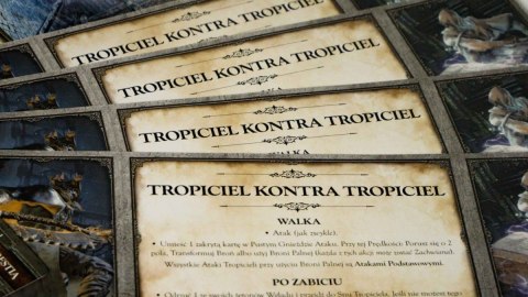 Gra bloodborne: lochy kielicha Gra bloodborne: lochy kielicha