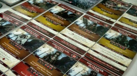 Gra bloodborne: sen tropiciela Gra bloodborne: sen tropiciela