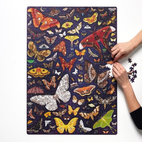 Puzzle 1000 elementów puzzlove Ćmy Puzzle 1000 elementów puzzlove Ćmy