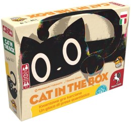 Gra cat in the box