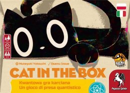 Gra cat in the box