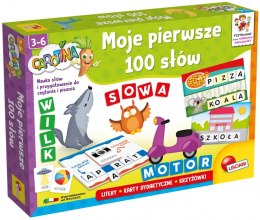 Zestaw edukacyjny carotina moje pierwsze 100 słów