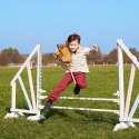 Koń na kiju hobby horse hoppihorse a4 chestnut - brąz, maść kasztanowata