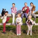 Koń na kiju hobby horse hoppihorse a4 chestnut - brąz, maść kasztanowata