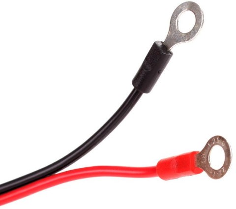 PROSTOWNIK AUTOMATYCZNY VOLT POLSKA 5A 6V/12V