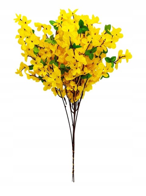 FORSYCJA GAŁĄZKI DUŻY GĘSTY BUKIET FORSYCJI NA WIELKANOC 53cm 12szt FORSYCJA GAŁĄZKI DUŻY GĘSTY BUKIET FORSYCJI NA WIELKANOC 53cm 12szt
