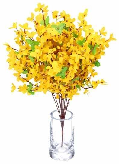 FORSYCJA GAŁĄZKI DUŻY GĘSTY BUKIET FORSYCJI NA WIELKANOC 53cm 12szt FORSYCJA GAŁĄZKI DUŻY GĘSTY BUKIET FORSYCJI NA WIELKANOC 53cm 12szt