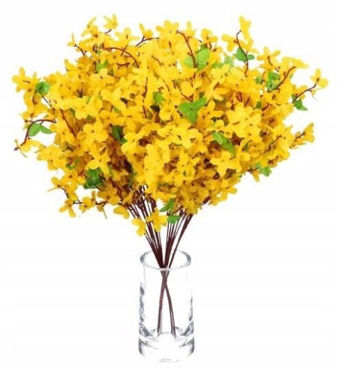 FORSYCJA GAŁĄZKI DUŻY GĘSTY BUKIET FORSYCJI NA WIELKANOC 53cm 12szt FORSYCJA GAŁĄZKI DUŻY GĘSTY BUKIET FORSYCJI NA WIELKANOC 53cm 12szt