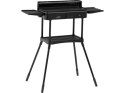 GRILL ELEKTRYCZNY STOJĄCY 2000W 50*25CM
